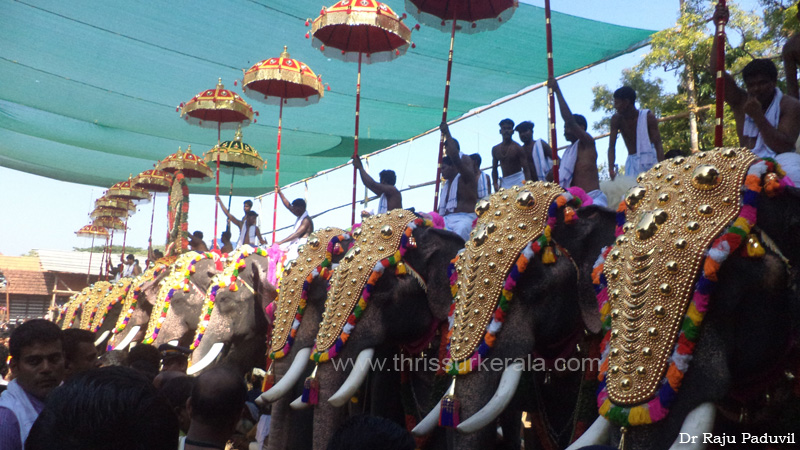 thrissur-pooram-2013-1 (33)